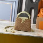 LV LuxeGarden M14389 Monogram Flowers Embroidered Canvas Capucines