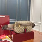 Gucci Ophidia Double G Chest and Waist Bag