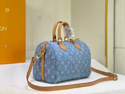 LV M11213 & More Speedy 25 - Light Blue Denim Damier Ebène
