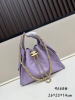 The Chanel 25 bag Model 9668 - Image 12