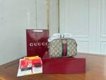 Gucci New Camera Bag