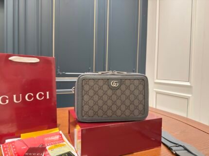 GUCCI's new Ophidia box bag