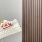 Dior 2025vs Year of the Snake Graphic Casual Board Shoes - Image 7