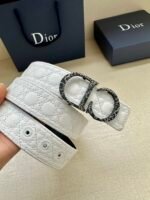 Dior Leather Belts - Image 3