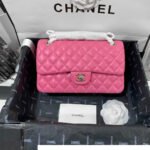 Chanel CF Bag 25CM - Image 19