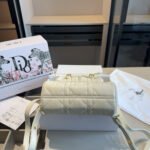 Dior Caro Leather Backpack 10A - Image 16