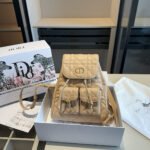 Dior Caro Leather Backpack 10A - Image 11