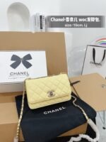CHANEL Classic Flap WOC 19cm Bag - Image 6