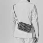 Goyard Cap-Vert PM Bag Camera Bag Shoulder Bag - Image 2