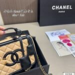 Chanel 19cm Makeup Box Bag - Image 25