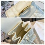 Dior Caro Leather Backpack 10A - Image 18