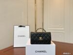 Chanel 25B WOC 20cm Handle Accordion Bag 10A