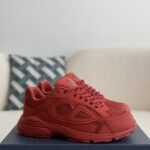Dior B30 New Sneaker Shoes