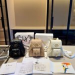 Dior Caro Leather Backpack 10A