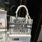 Dior Oblique Tote Bag 10A