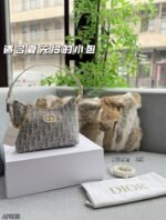 DIOR Miss Caro Pochette