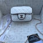 Chanel 25P Panda Quilted Bag 20cm